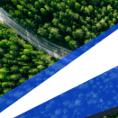 sustainability